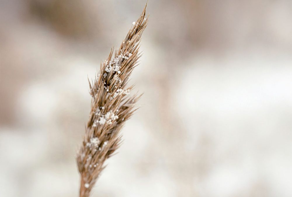 Vaihtuuko tilikausi? Näin valmistaudut tilinpäätökseen